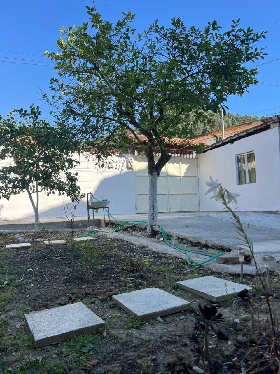 Berat Private Room In Haxhialiu Villa 外观 照片